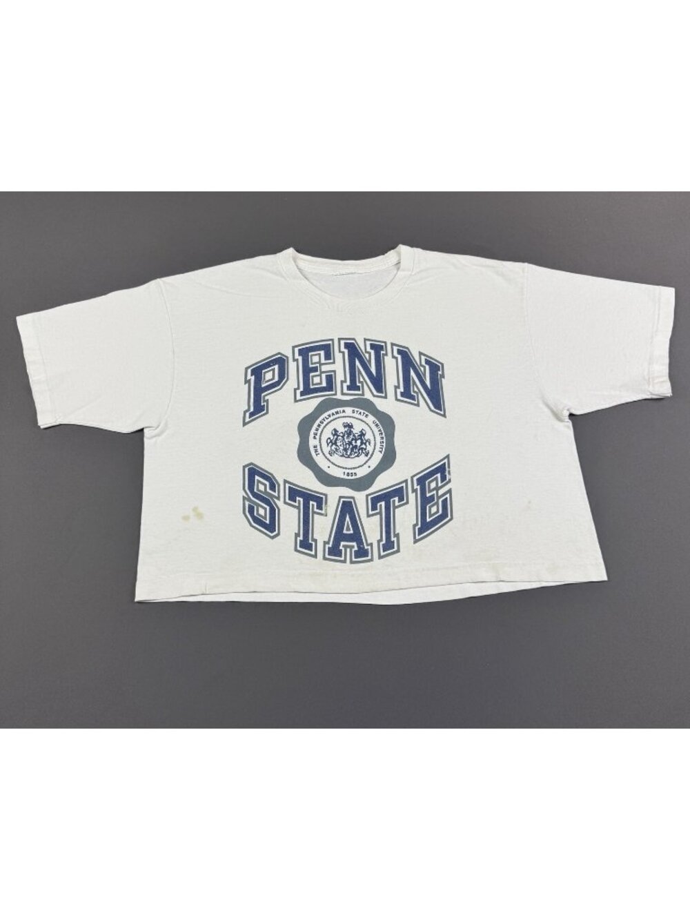 Rare Vintage 90s Penn State University NCAA Crop Top Womens XL Fit Fashion Art